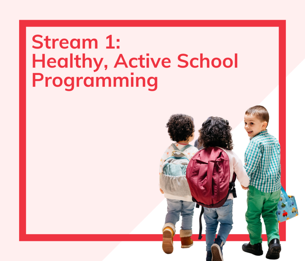 Healthy School Programming Stream 1 image