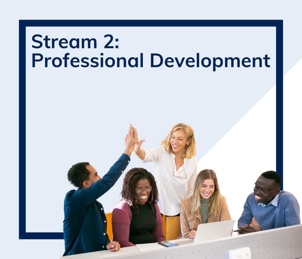 Professional Development Stream 2 image