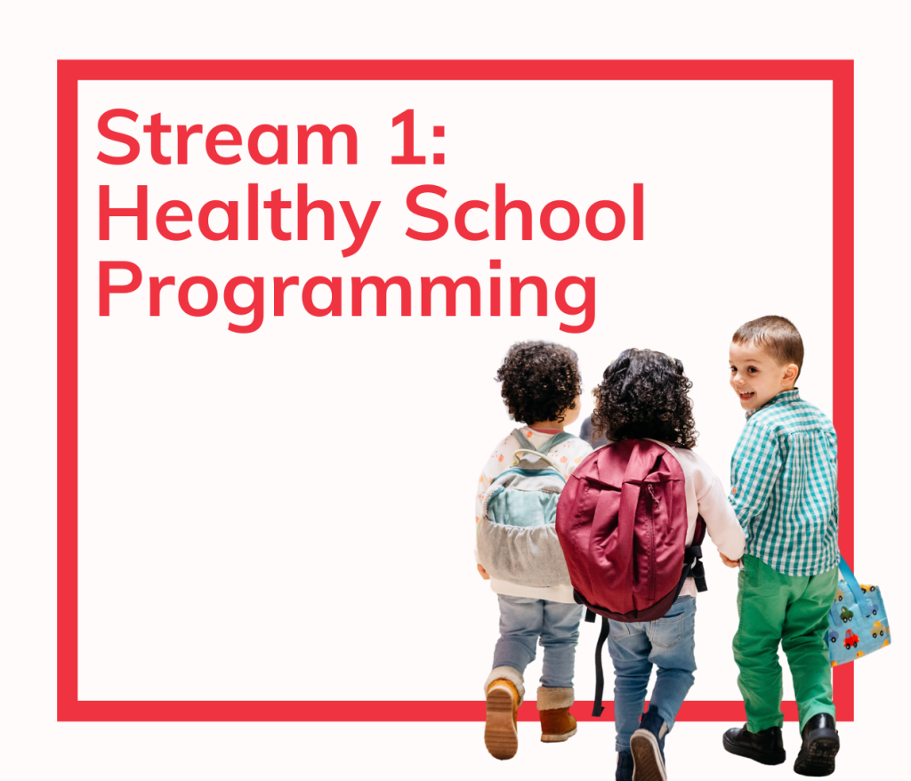 Healthy School Programming Stream 1 image
