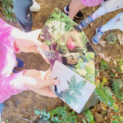 1. A group of children joyfully displaying cards featuring various plant images, showcasing their enthusiasm for nature.