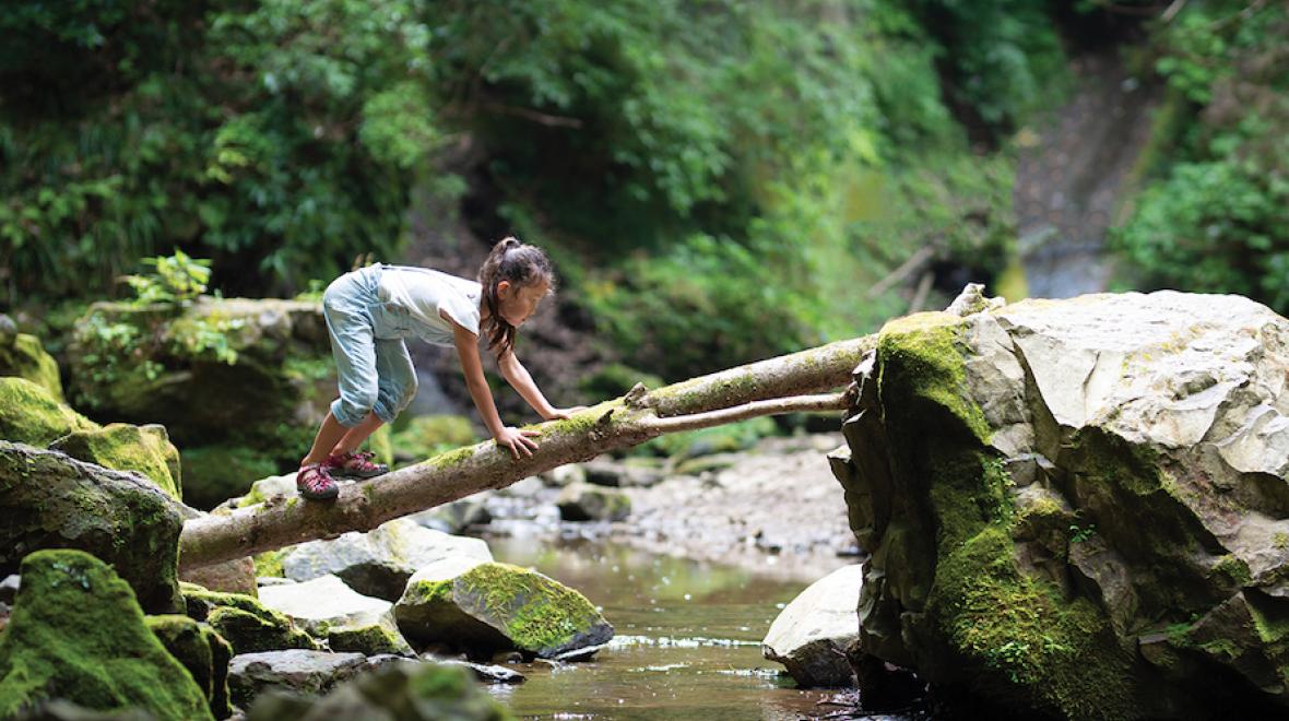 a young girl crawling on a log that is stabilizing on two large rocks. The log is overtop of a small stream in a forest. 