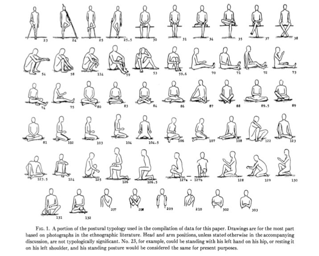 Hewes, G. W. (1955). World distribution of postural habits. American Anthropologist, 57(2), 287–303