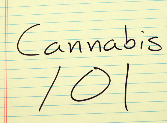Cannabis and Vaping 101 Thumbnail