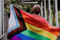 person facing away from the camera holding a progressive pride flag