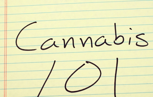 Cannabis and Vaping 101 Thumbnail